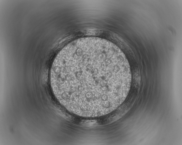 X0000110710554200907241148