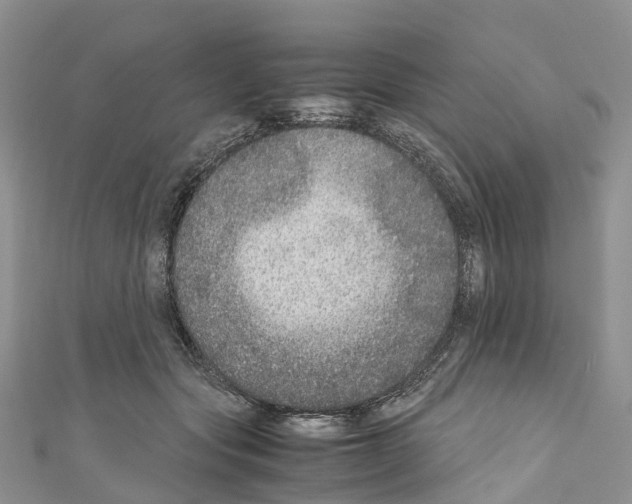 X0000110710557200907241148