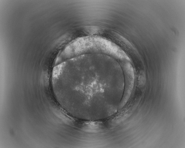 X0000110710558200907241148