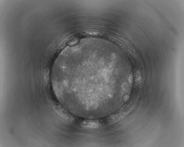 X0000110710559200907241148