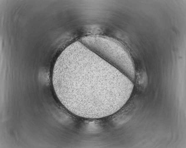 X0000110710564200907241148