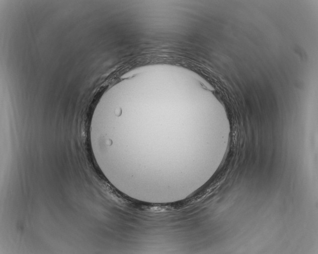 X0000110710566200907241148