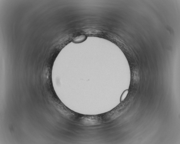 X0000110710567200907241148