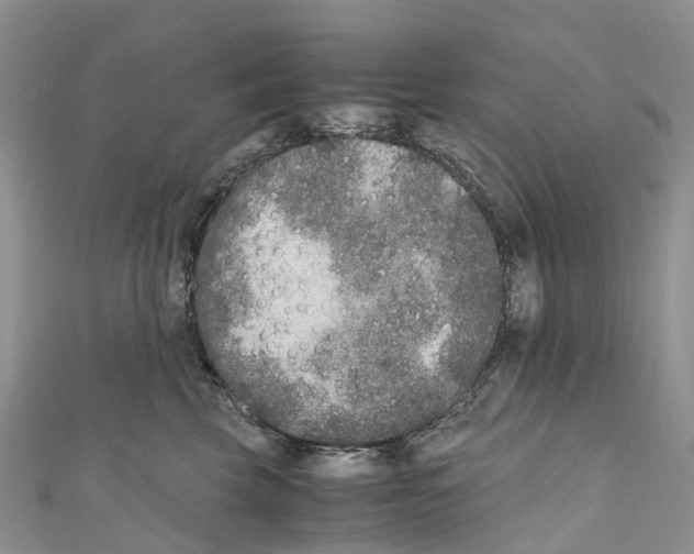 X0000110710569200907241148