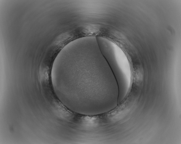 X0000110710570200907241148
