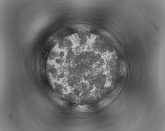 X0000110710573200907241148