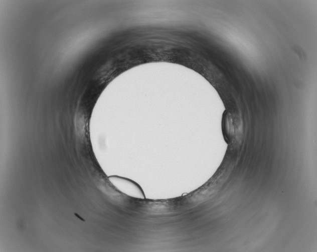 X0000110710574200907241148