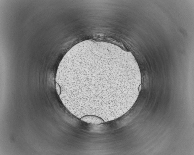 X0000110710575200907241148