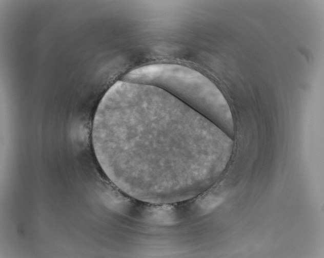 X0000110710576200907241148