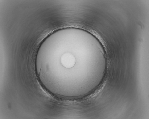 X0000110710577200907241147