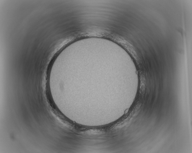 X0000110710578200907241147