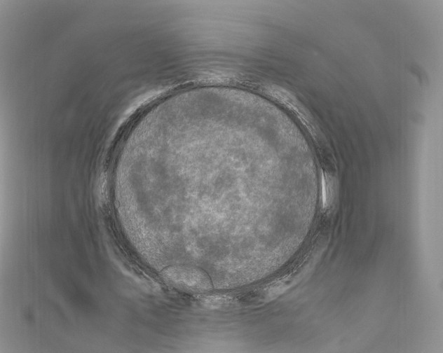 X0000110710579200907241147