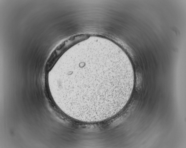 X0000110710580200907241147