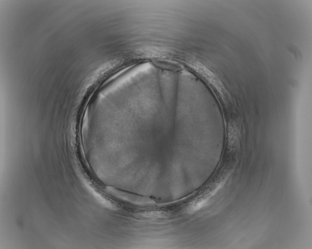 X0000110710581200907241147