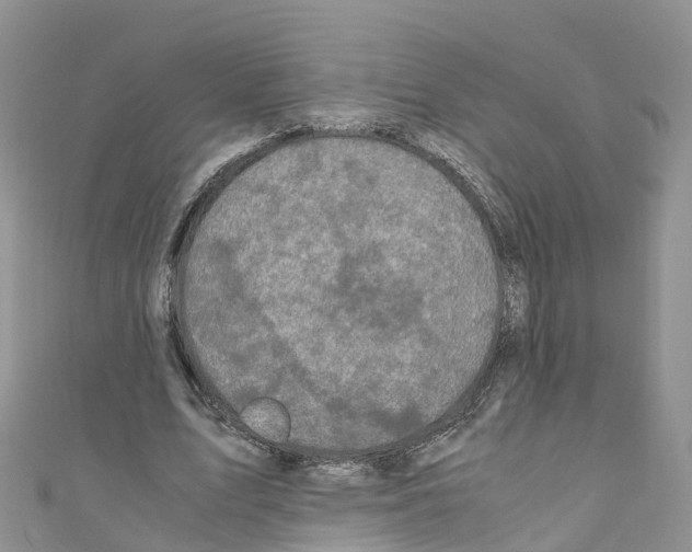 X0000110710583200907241147