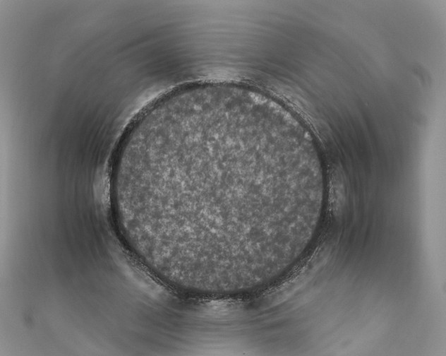X0000110710584200907241147