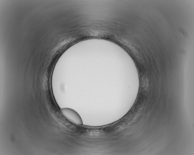 X0000110710587200907241147