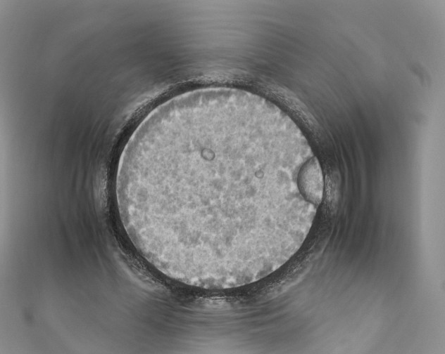 X0000110710588200907241147