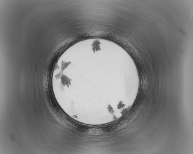 X0000110710591200907241147