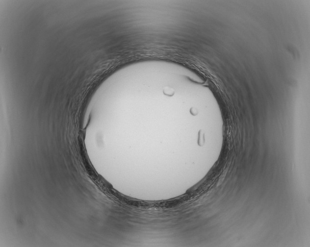 X0000110710593200907241147
