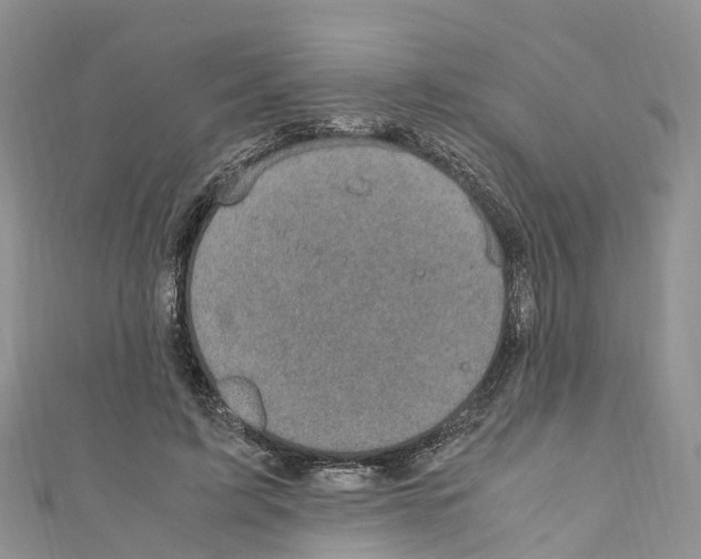 X0000110710595200907241147