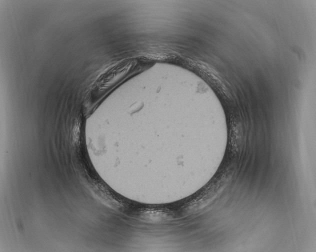 X0000110710596200907241147