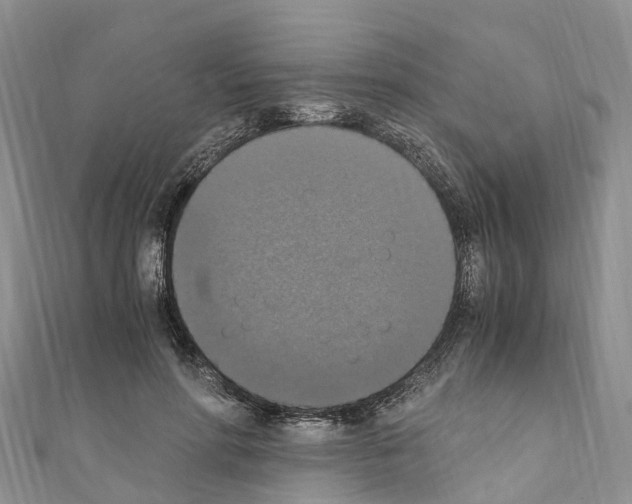 X0000110710598200907241147