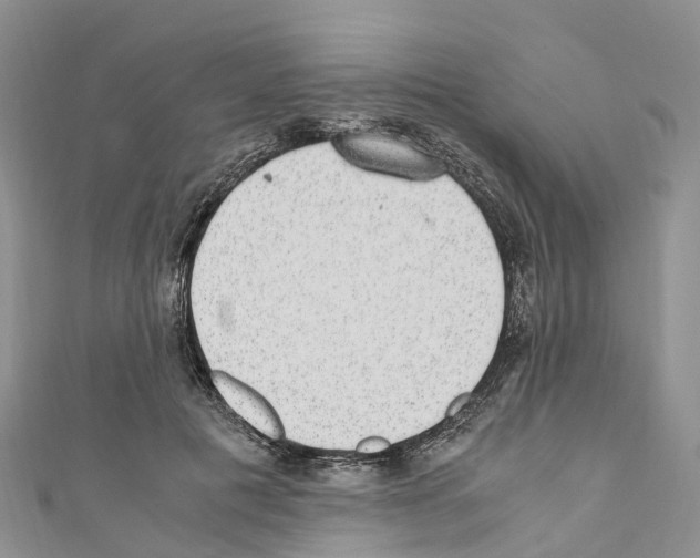 X0000110710601200907241147