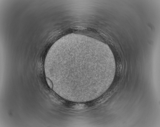 X0000110710609200907241147