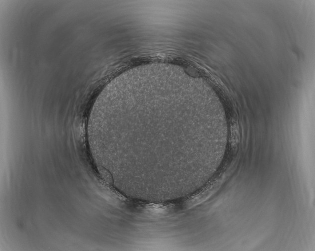 X0000110710613200907241147