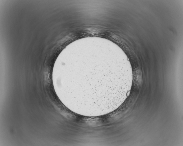X0000110710615200907241147