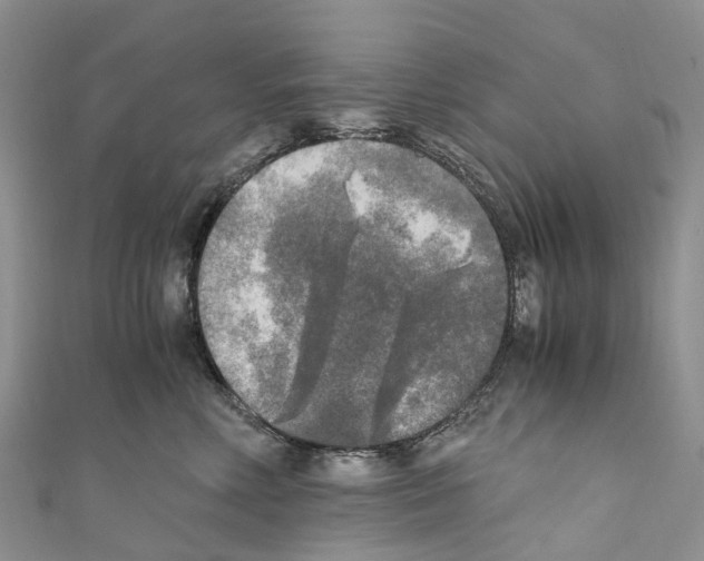X0000110710618200907241147
