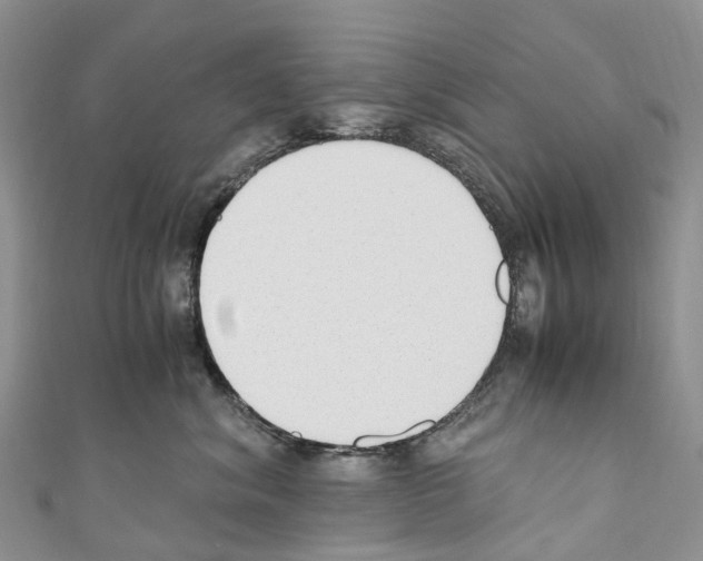X0000110710620200907241147