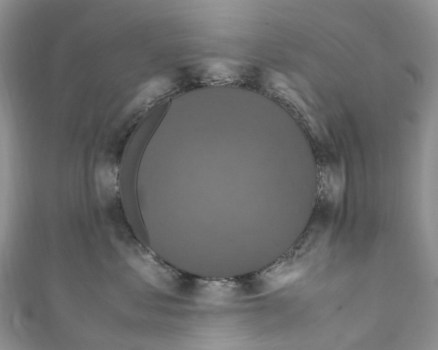 X0000110710621200907241147