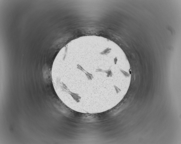 X0000110710624200907241147