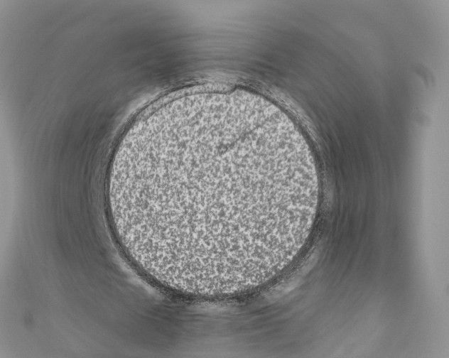 X0000110710625200907241146