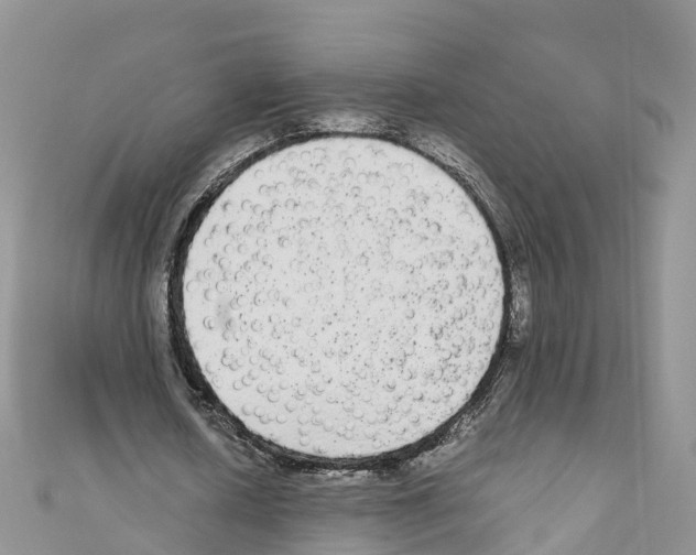 X0000110710626200907241146