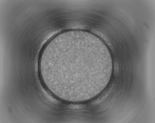 X0000110710629200907241146