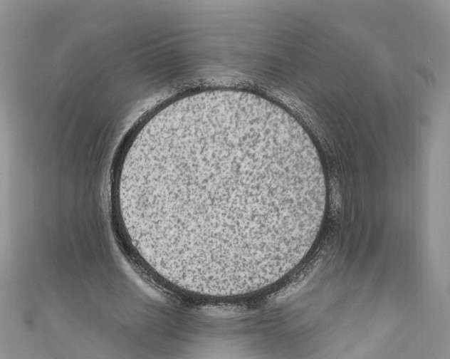 X0000110710630200907241146