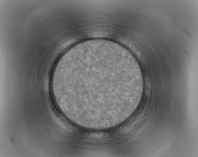 X0000110710631200907241146