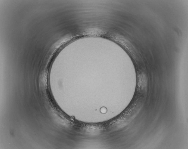 X0000110710632200907241146