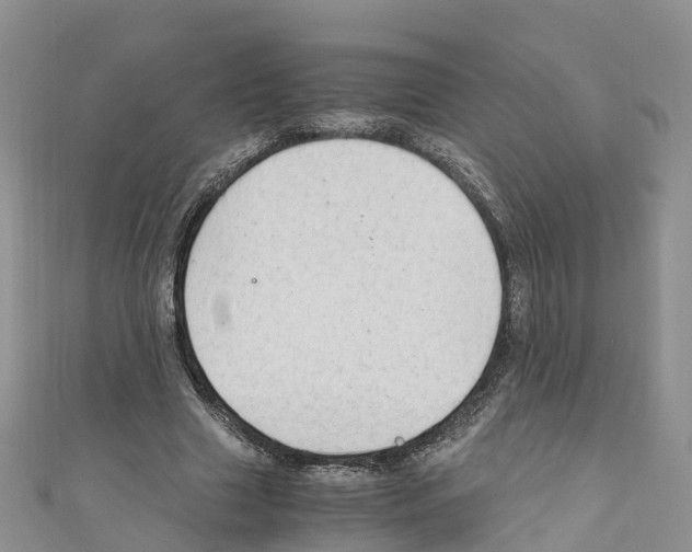 X0000110710633200907241146