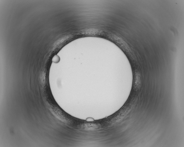 X0000110710636200907241146