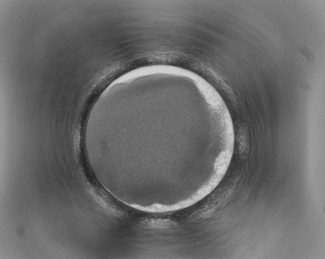 X0000110710637200907241146