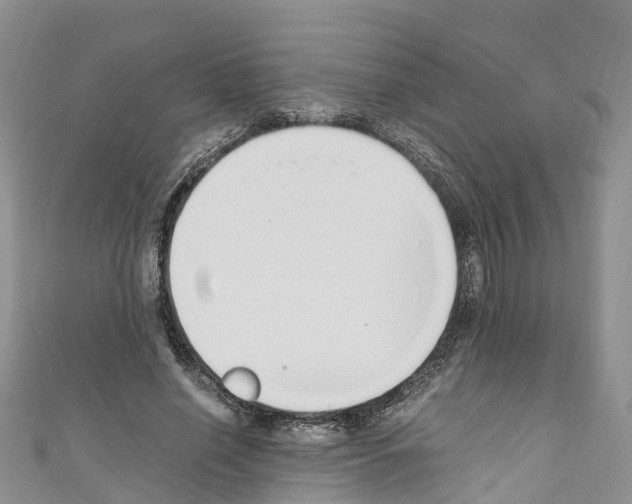 X0000110710638200907241146