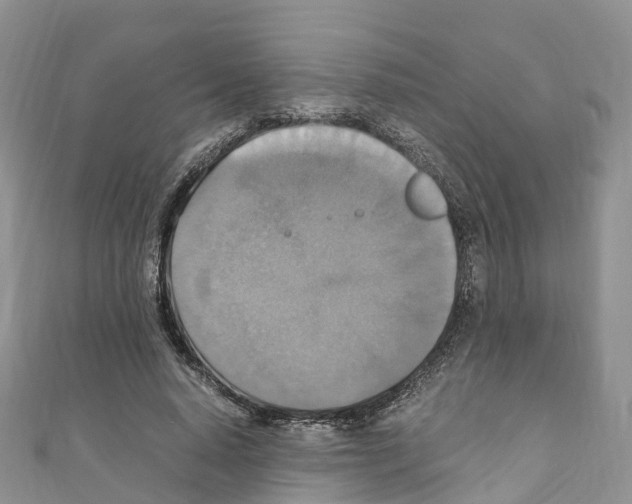 X0000110710640200907241146