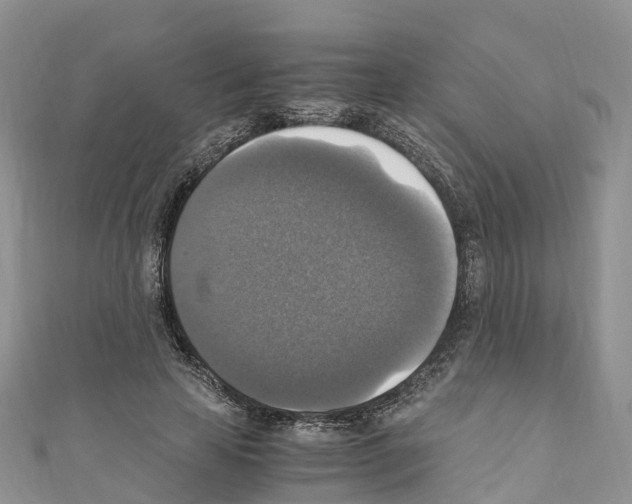 X0000110710641200907241146