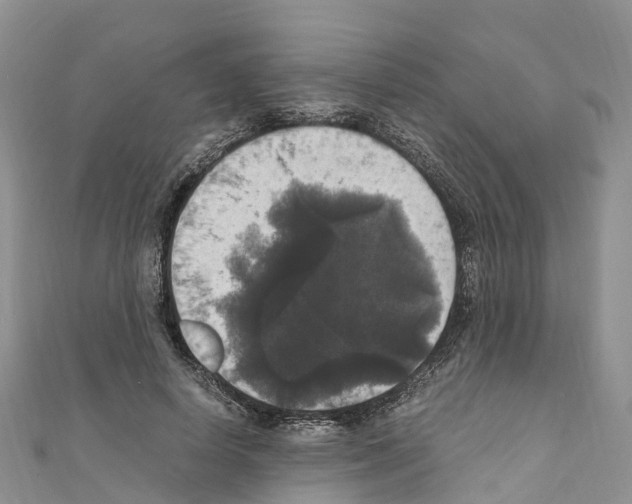 X0000110710642200907241146