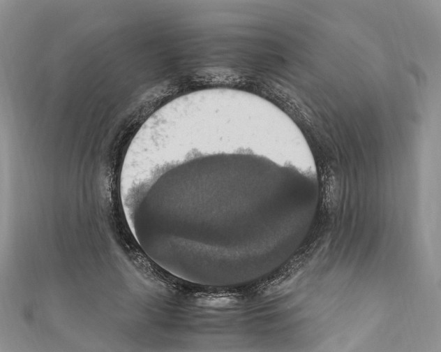 X0000110710643200907241146