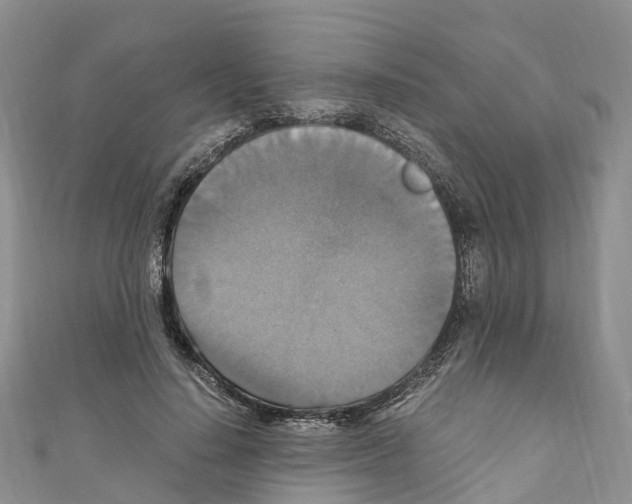 X0000110710644200907241146